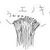 毒薔薇 毒薔薇