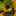 nori_0523