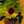 nori_0523