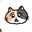 瑠璃光院ねこち