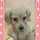 クック2JM0FC☆ クック2JM0FC☆