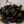luciferase