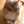 yomocat