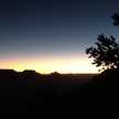 Kokohead