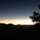 Kokohead