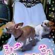 かおﾀﾝ