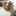 sky_birds sky_birds