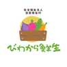 びわから野菜