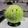 HARO Angler