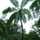 FamilyTree FamilyTree