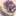 さくらんぼぱんつ さくらんぼぱんつ