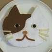 C for cat