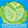 若松潮風®キャベツ