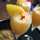 キャンディーポップ