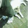 chuma