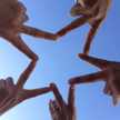 mahyu55