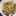 ちゃんころもちもち