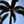 maguey