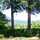 tree-sun tree-sun