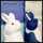 **Lapin** **Lapin**