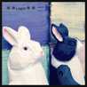 ＊＊Lapin＊＊
