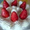 みんめいこ