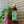 pockets_8