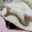 minaみ