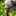 youko_o youko_o