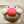 とらきろん