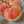 managon