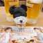 かつをまる