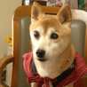 ふうとむっちゃん