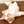 mycooknote