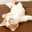 mycooknote