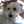 もんこりん
