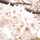kanna_1006 kanna_1006