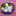 みんみん123 みんみん123