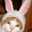 しゅりむ