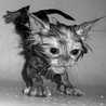 Sugarlesscat.