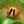 クックTR5AXQ☆