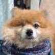 atu.mama