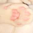 ねこまんまはかつお