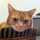 Sat_Luna