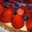 kyon510