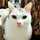 milky0623