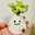 クック12P9DW☆