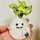 クック12P9DW☆ クック12P9DW☆
