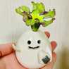 クック12P9DW☆