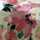 airose